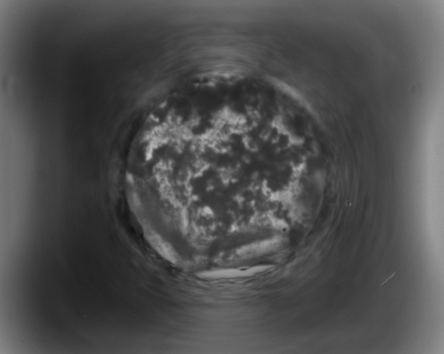 X0000087611399200705251933