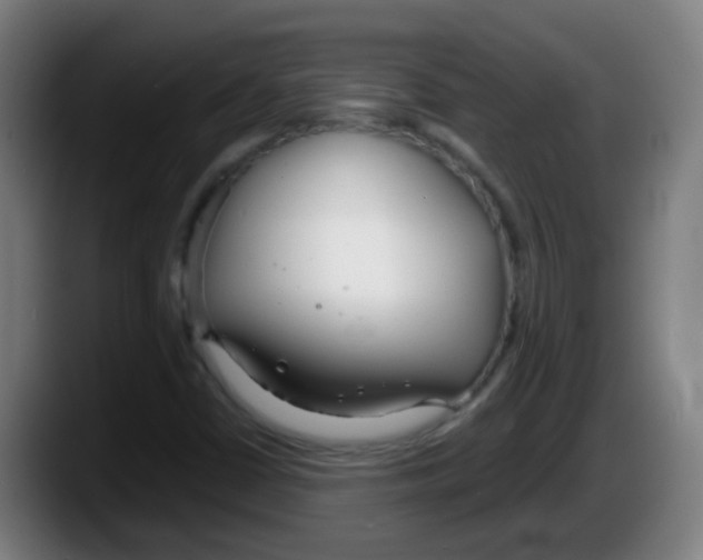 X0000087611402200705251933