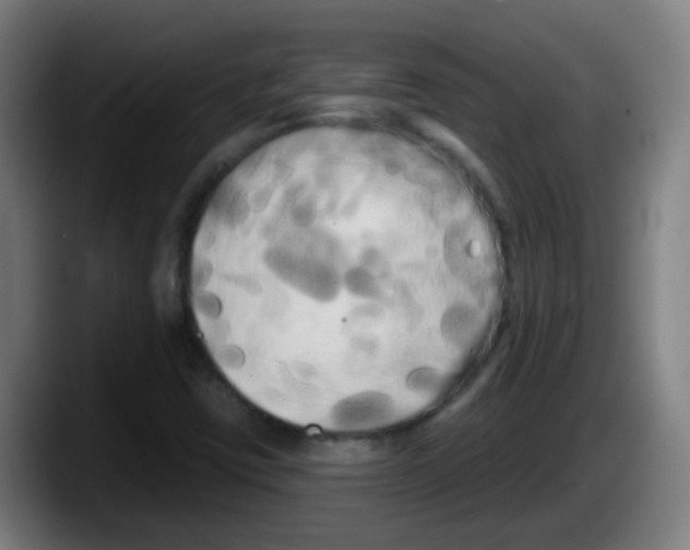 X0000087611403200705251933