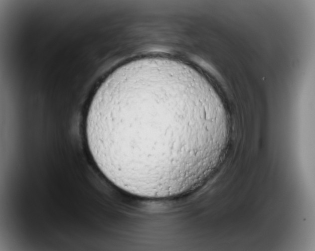 X0000087611404200705251933