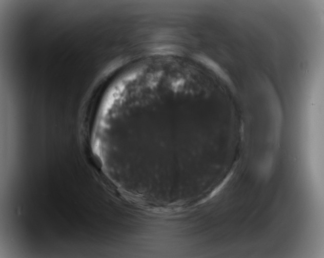 X0000087611405200705251933