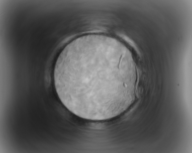 X0000087611407200705251933