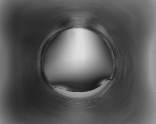 X0000087611410200705251933