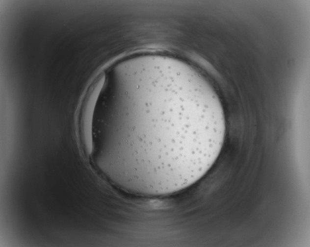 X0000087611412200705251933