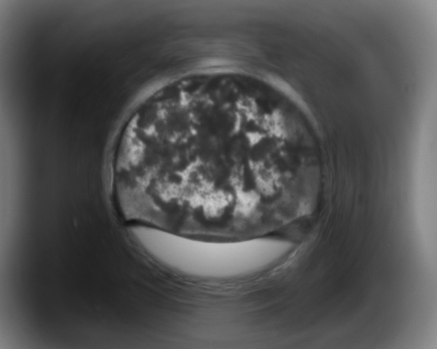 X0000087611413200705251933