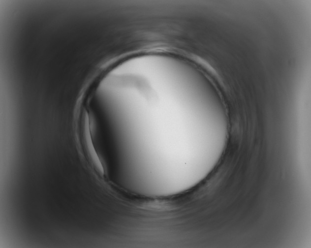 X0000087611414200705251933