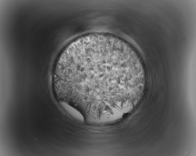 X0000087611416200705251933