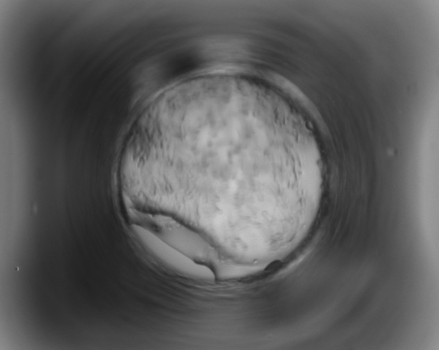 X0000087611417200705251933