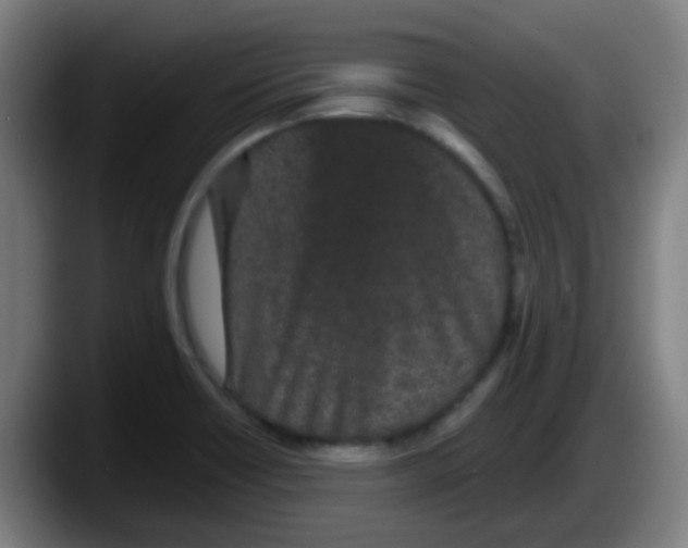 X0000087611418200705251933