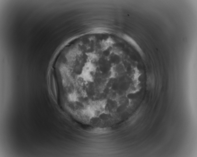 X0000087611419200705251933