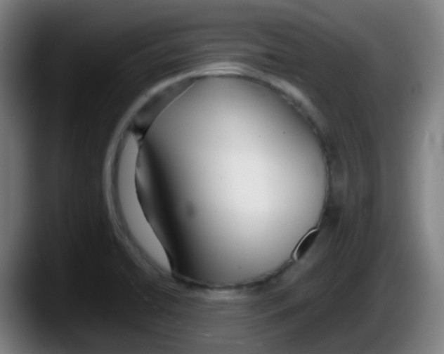 X0000087611422200705251933