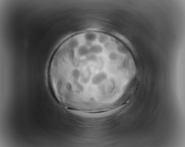 X0000087611423200705251933