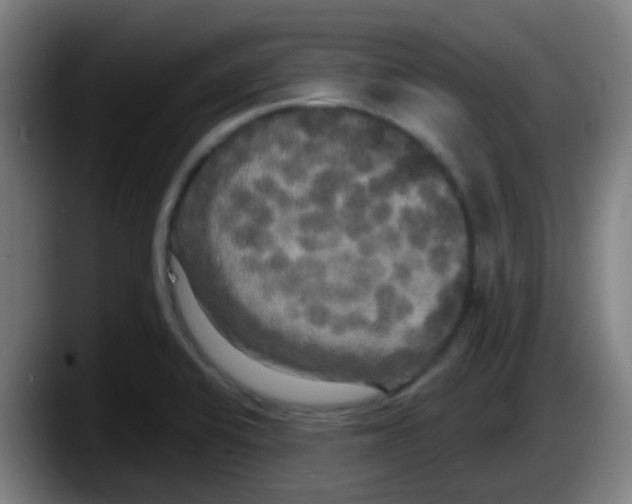 X0000087611424200705251933