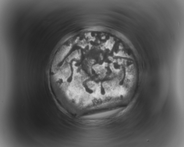 X0000087611425200705251933