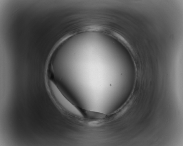 X0000087611426200705251933