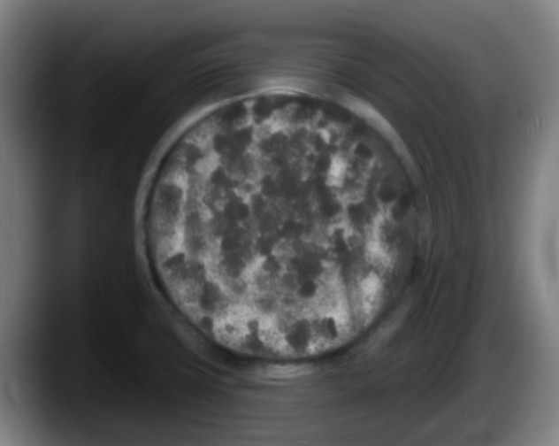 X0000087611427200705251933