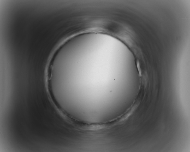 X0000087611430200705251933