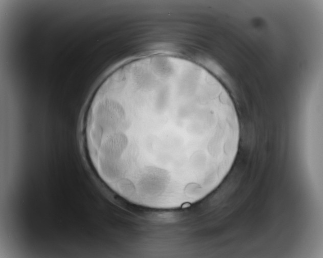 X0000087611431200705251933