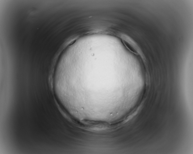 X0000087611433200705251933