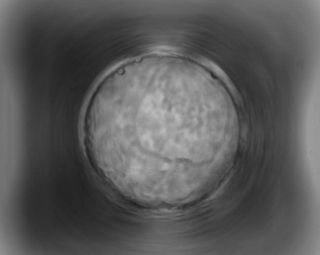 X0000087611435200705251933