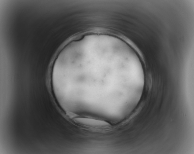 X0000087611437200705251933