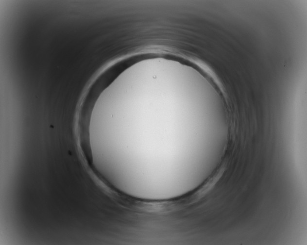 X0000087611438200705251933