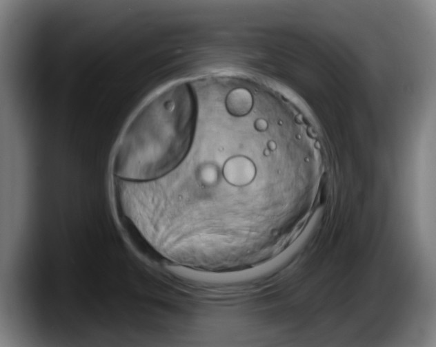 X0000087611439200705251933