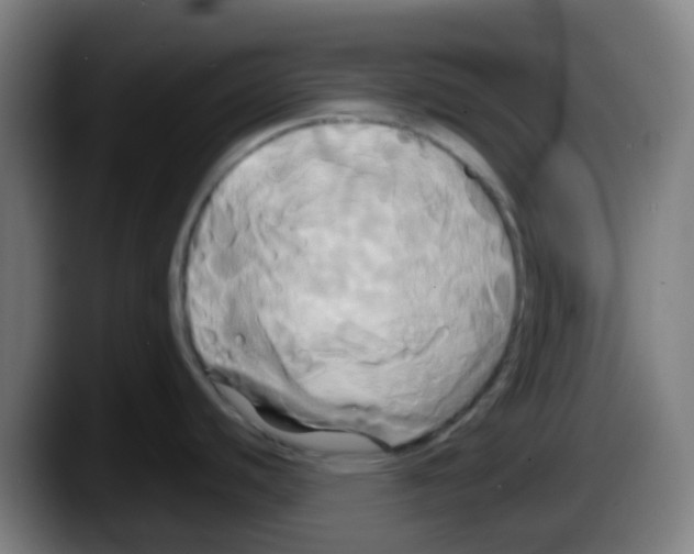 X0000087611440200705251933