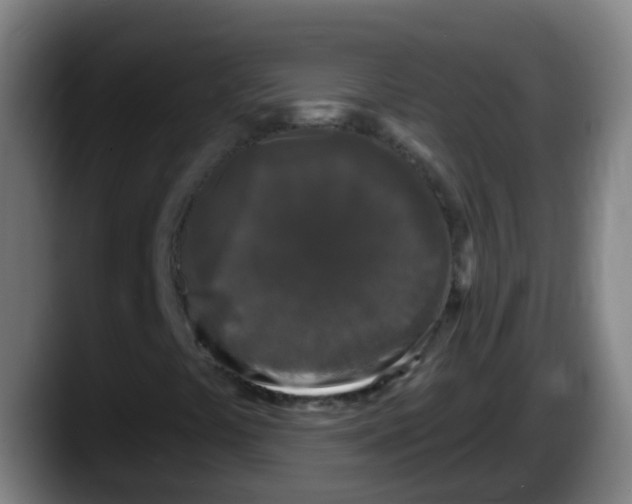 X0000087611441200705251933