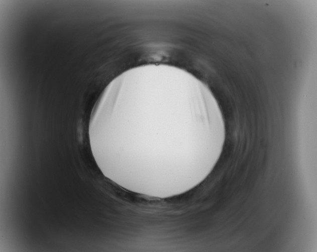 X0000087611442200705251933