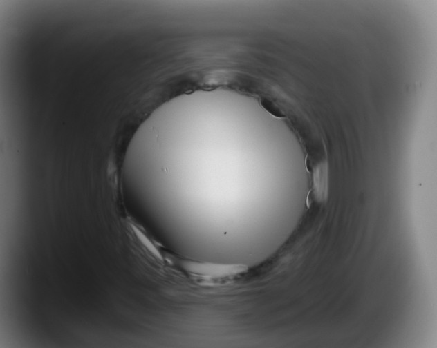 X0000087611443200705251933