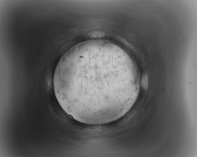 X0000087611444200705251933