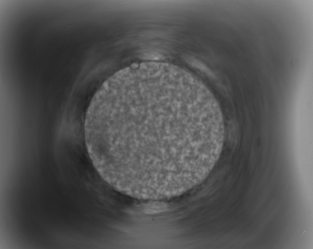 X0000087611446200705251933