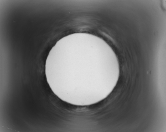 X0000087611447200705251933