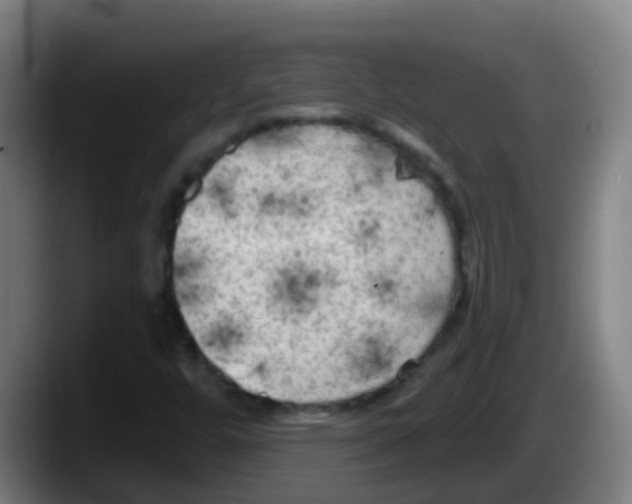 X0000087611448200705251933