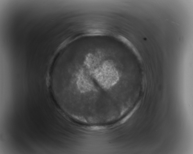 X0000087611449200705251933