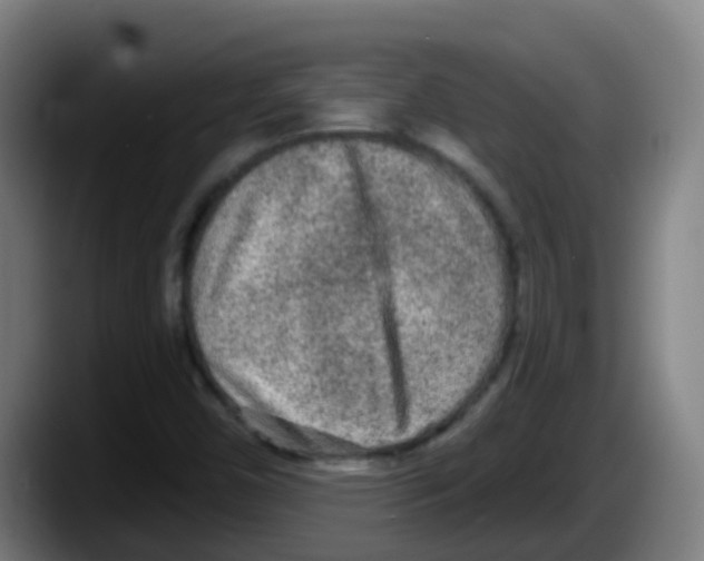 X0000087611450200705251933