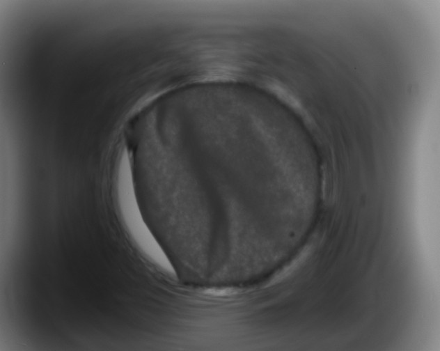 X0000087611453200705251932