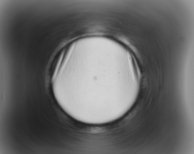 X0000087611459200705251932