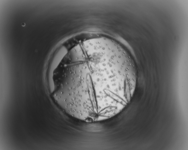 X0000087611464200705251932