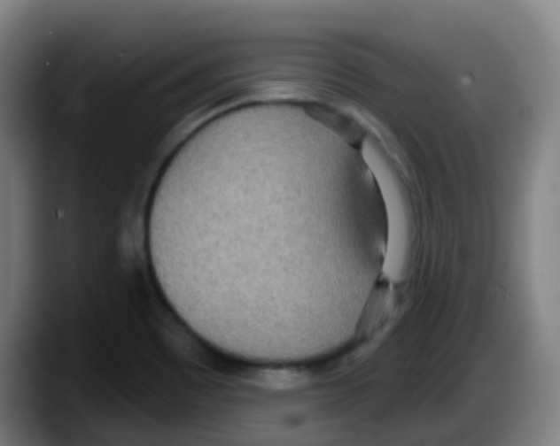 X0000087611465200705251932