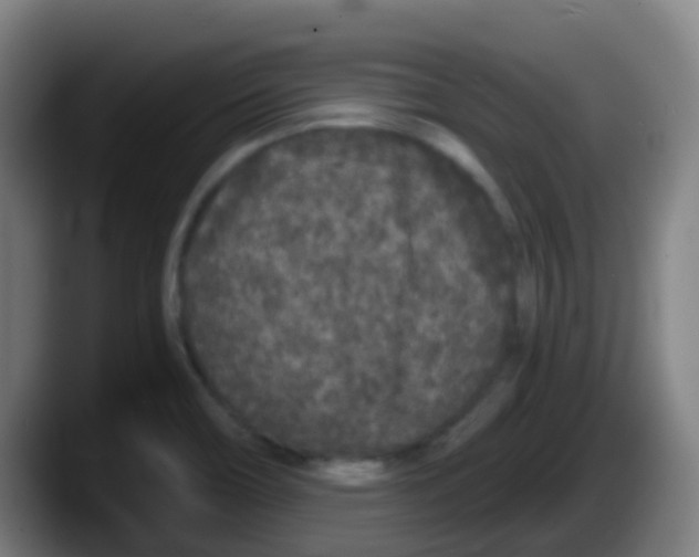 X0000087611466200705251932