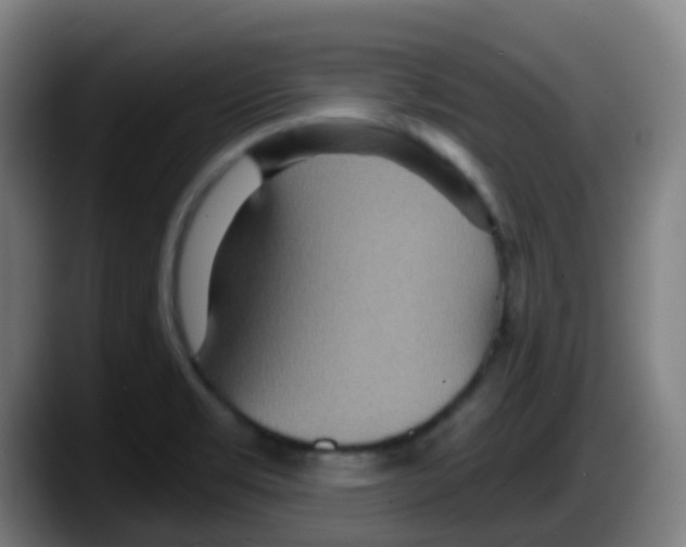 X0000087611469200705251932