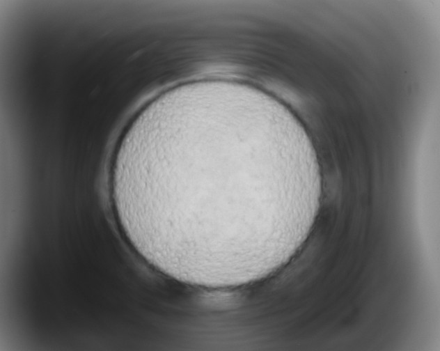 X0000087611470200705251932