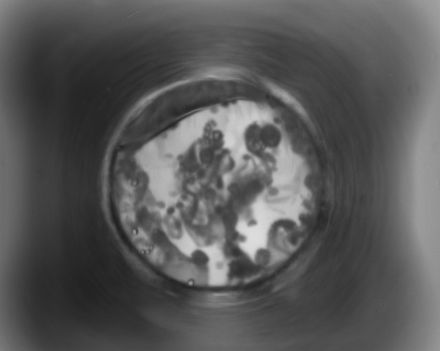 X0000087611471200705251932