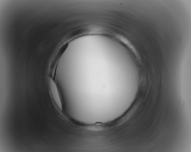 X0000087611473200705251932