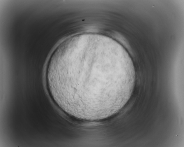 X0000087611475200705251932