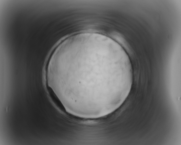 X0000087611476200705251932