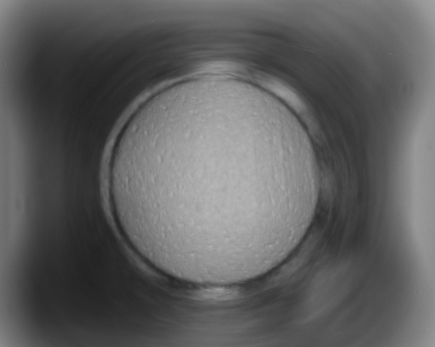 X0000087611478200705251932