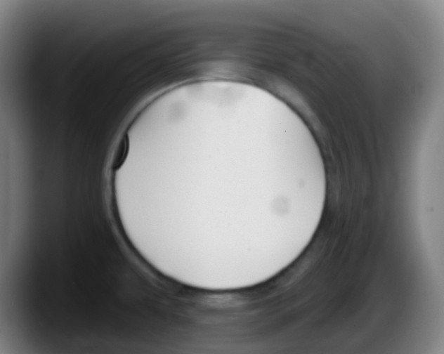 X0000087611479200705251932